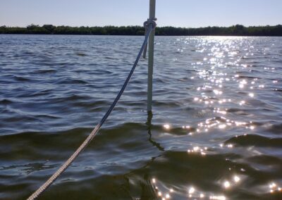 Boat Tutors | Gallery
