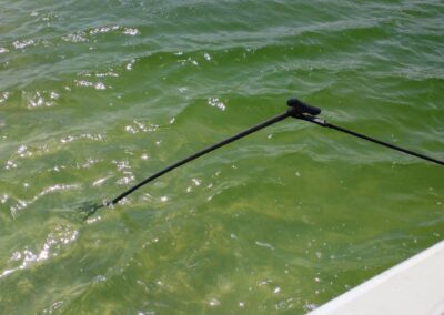 Boat Tutors | Gallery