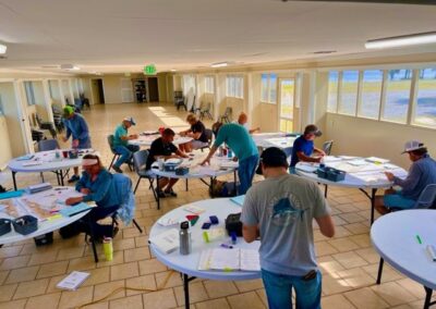 Boat Tutors | Gallery
